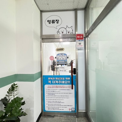 사진 10