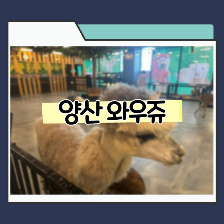  양산 아이와가볼만한곳 실내 동물원 먹이주기체험 와우쥬