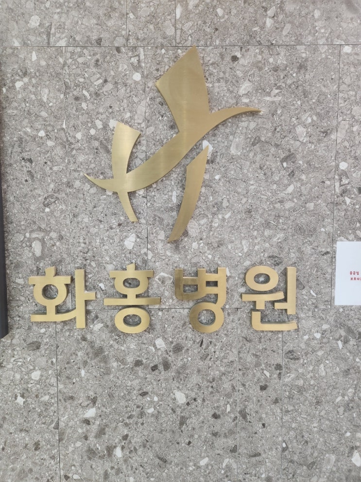  수원 화홍병원 주치의 선생님 소견서 요청 방문