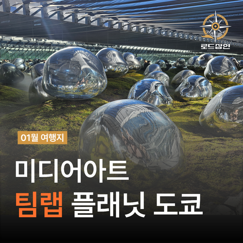  팀랩 플래닛 도쿄 - 아이와 여행장소 최저가 예약 후기