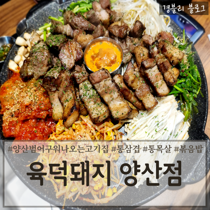  양산 범어맛집 구워나오는 양산고기집 양산삼겹살맛집 '육덕돼지 양산본점'