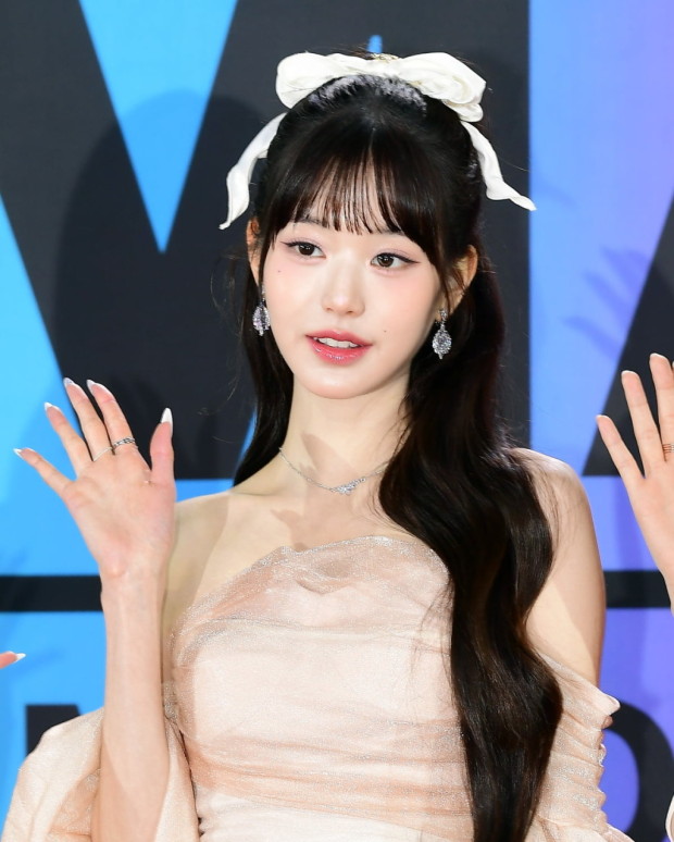 장원영 <b>허위사실 유포</b> 사건, <b>유튜버</b>의 가짜뉴스와 법적 책임