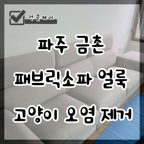  패브릭소파 얼룩 고양이 자국 오염 냄새 제거 파주 금촌