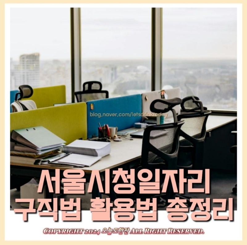 서울시청일자리 구직법 활용법 총정리