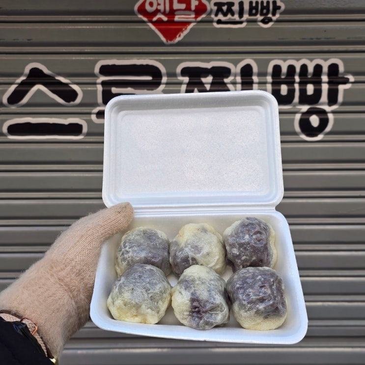  부산 빵집 | 시스루찐빵 - 부산 로컬 빵맛집 주말 예약 오픈런 후기