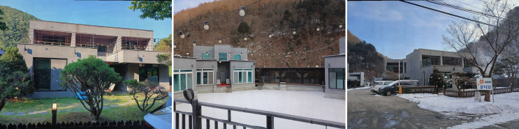 춘천 애견 펜션의 완벽한 선택, 남이섬 설리조트에서의 특별한 경험