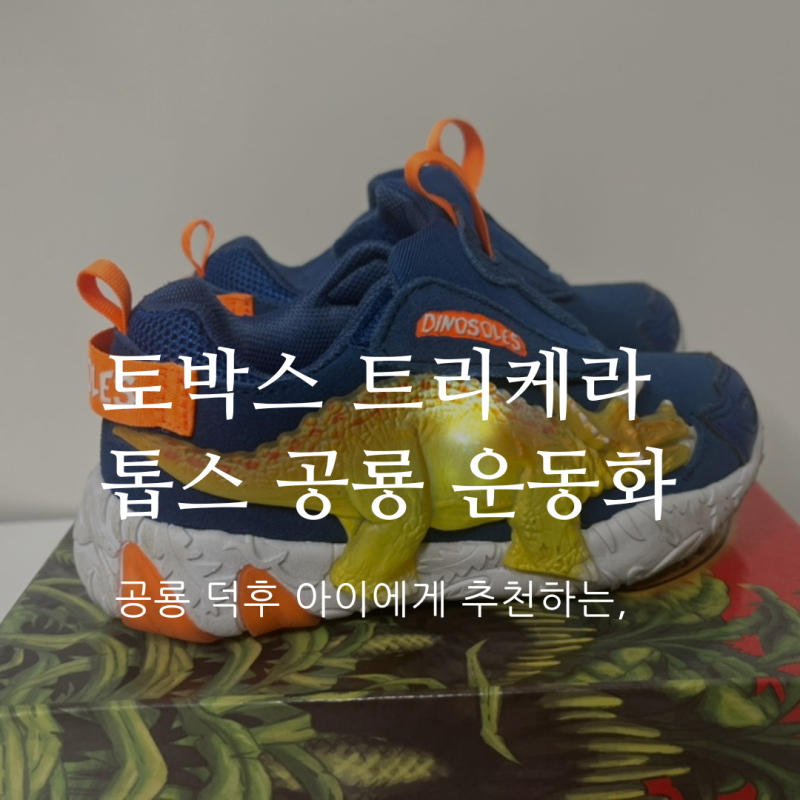 7세 남자아이 LED 불이 들어오는 신발 토박스 트리케라톱스 공룡 운동화