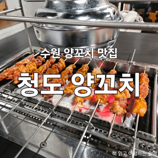  수원 행궁동 양꼬치 맛집 청도양꼬치 내돈내산 후기