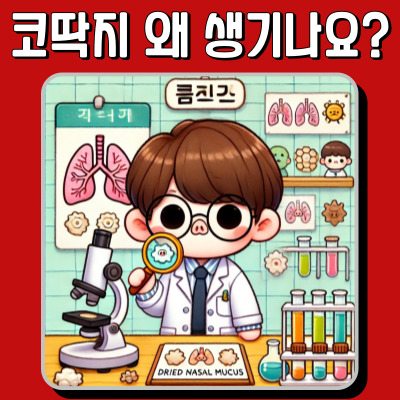  코딱지를 과학적으로 풀어본다! 생성 과정부터 관리까지