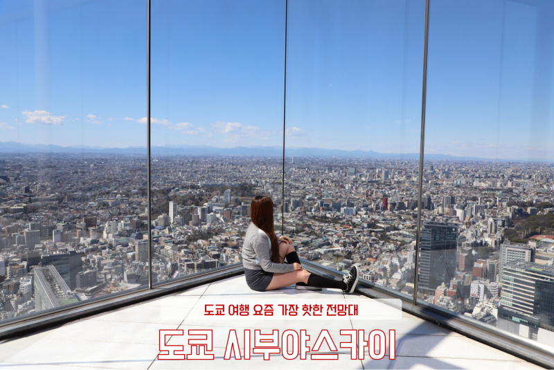 도쿄 시부야스카이 전망대 예약 방법 지각 입장