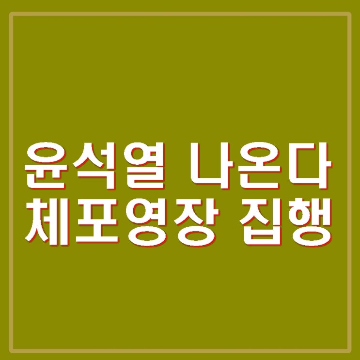 김성훈 경호처 차장 체포 후 <b>호송</b>. <b>윤석열</b> 체포영장 집행 당해... 