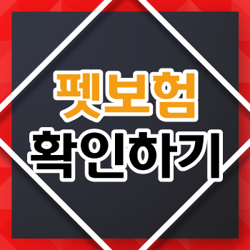  강아지 보험료 확인하고 필요한 보장 챙겨서 가입 준비까지 확실하게 진행해보자