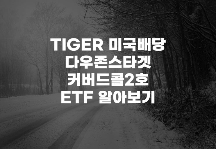  TIGER 미국배당다우존스타겟커버드콜2호(458760) ETF 분석 주가 주식 1호와 차이점 프리미엄다우존스