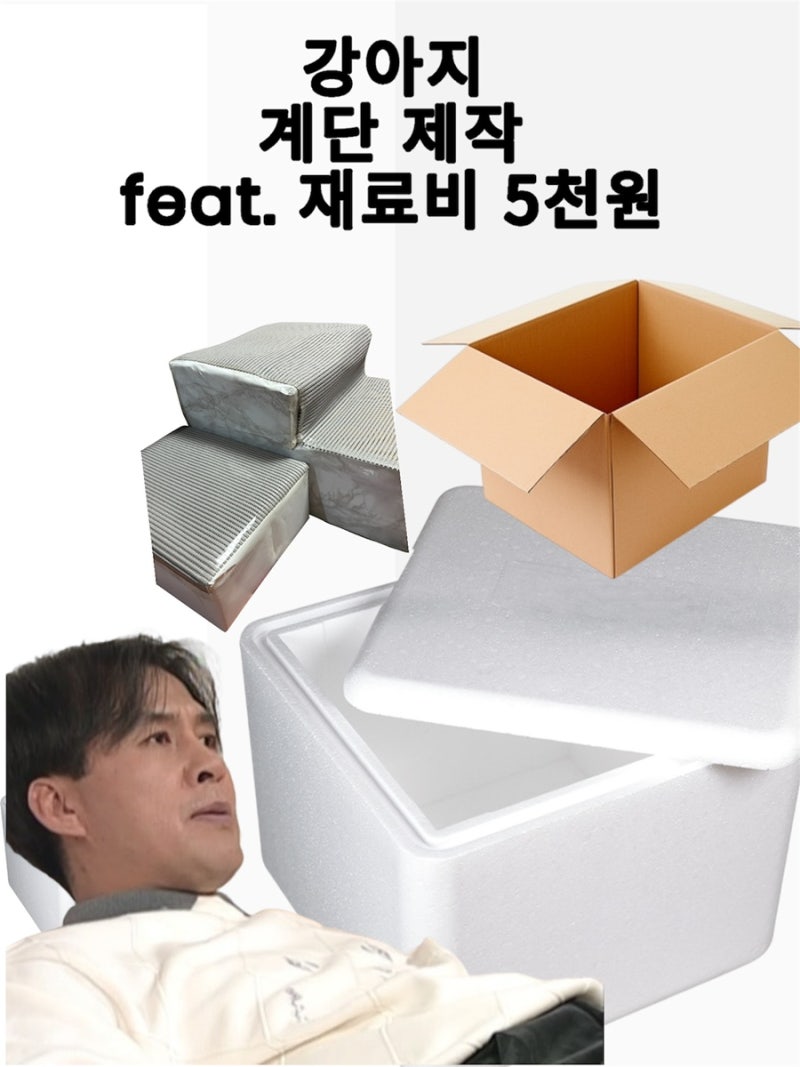 5천원으로 강아지 계단 만들기 ! 다이소 튼튼한 높은 계단, 애견 3단 계단