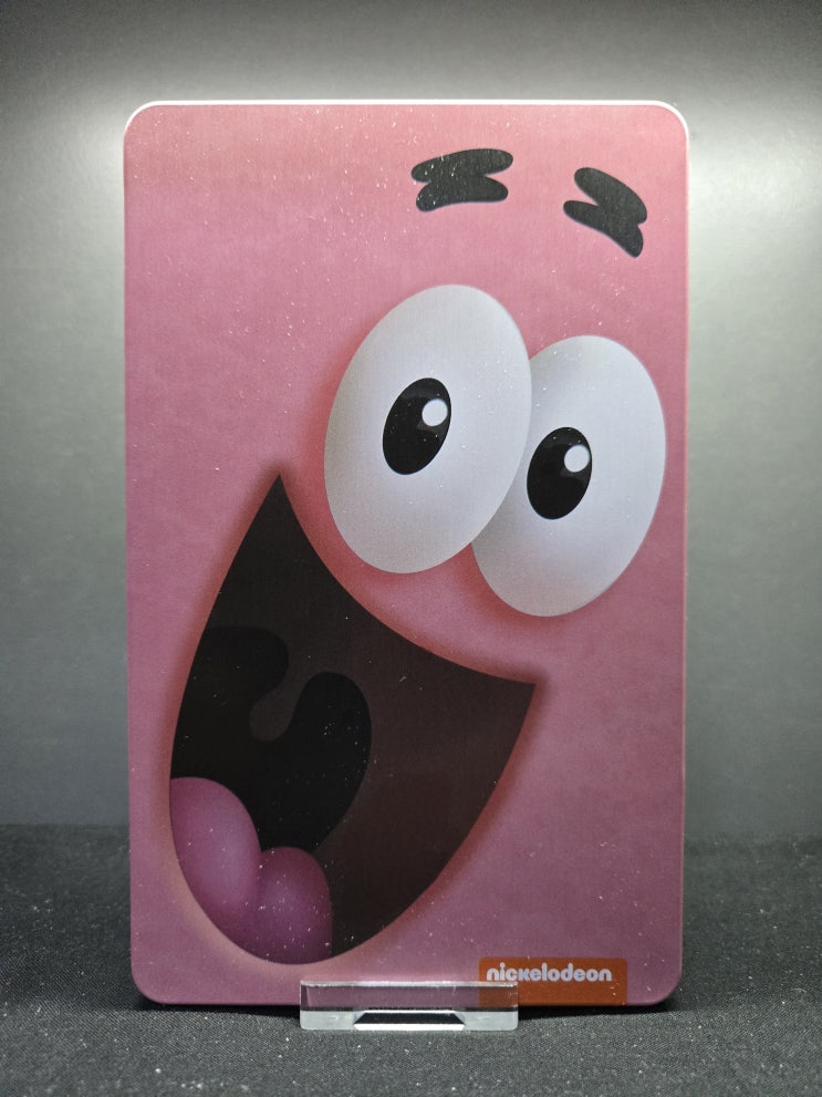  네모바지 스폰지밥: 불가사리 뚱이 게임 스틸북 에디션 (Spongebob Squarepants: The Patrick Star Game Steelbook Edition)