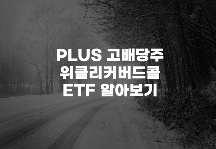  PLUS 고배당주위클리커버드콜[489030] ETF 분석 주가 주식 아리랑고배당주