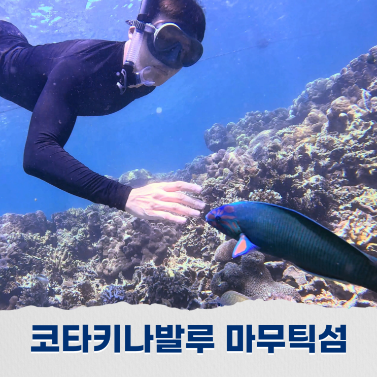  코타키나발루 스노쿨링 마무틱섬 투어에서의 완벽한 수중 탐험