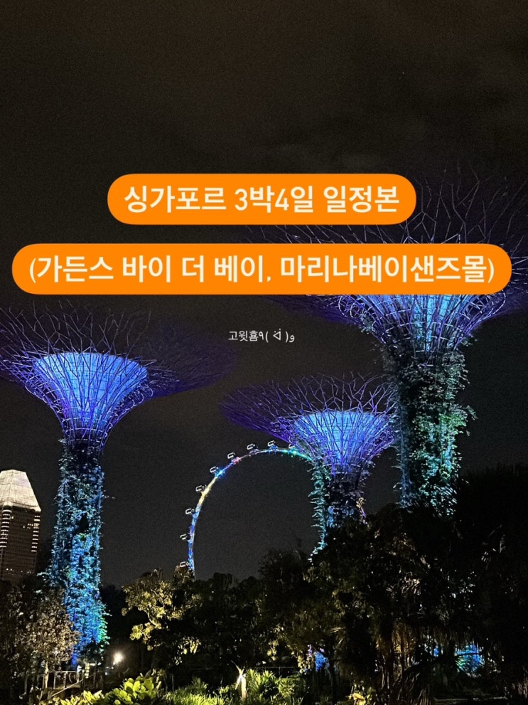  3박 4일 싱가포르 최종 일정 정리본 (팬 퍼시픽 수영장, 가든스 바이 더 베이, 슈퍼트리쇼,마리나베이 샌즈 몰 푸드코트, 싱가포르 쇼핑리스트)