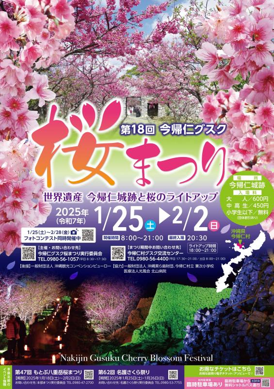  2025 일본 오키나와 벚꽃 개화시기 및 벚꽃 축제 정보