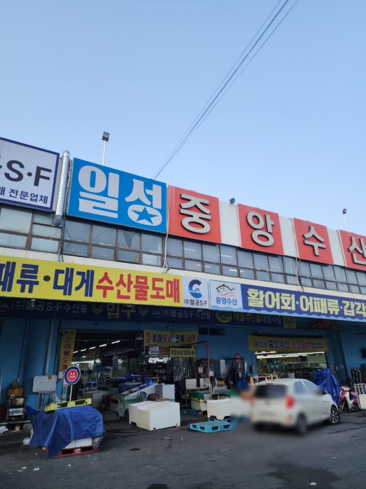  대구 매천수산시장 항상 들리는 원픽, 대구신화수산(55번)