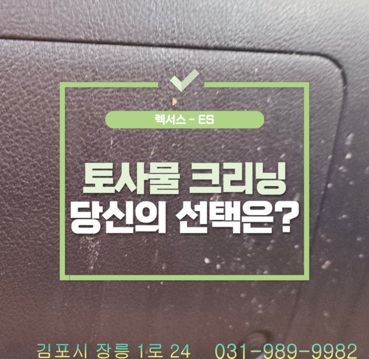  검단실내세차, 토사물 크리닝 당신의 선택은?