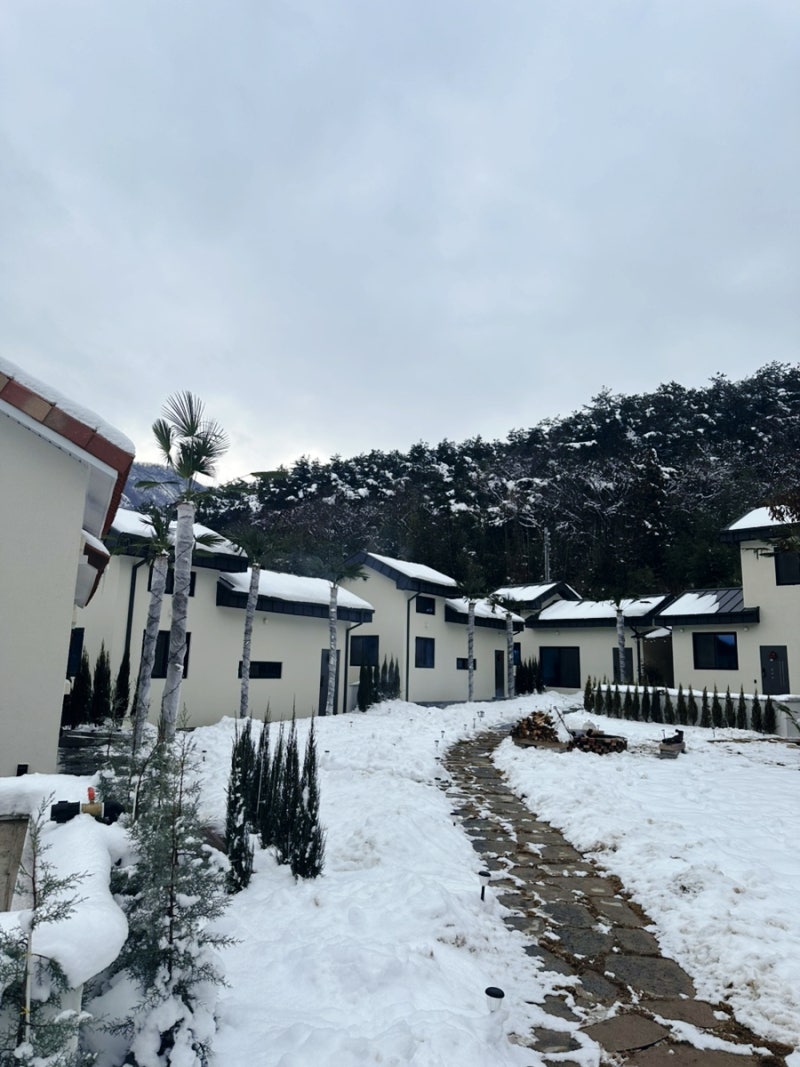 사진 6