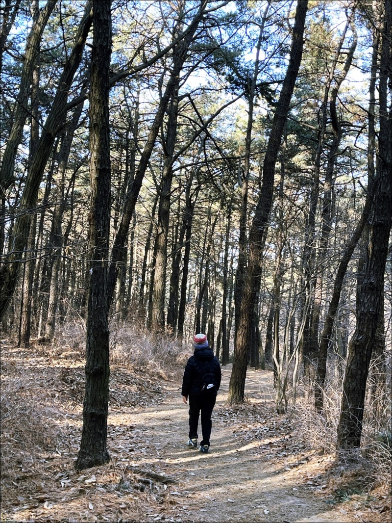 계양산 둘레길