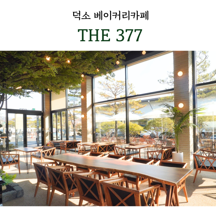  덕소 베이커리카페 THE377 오픈 후기
