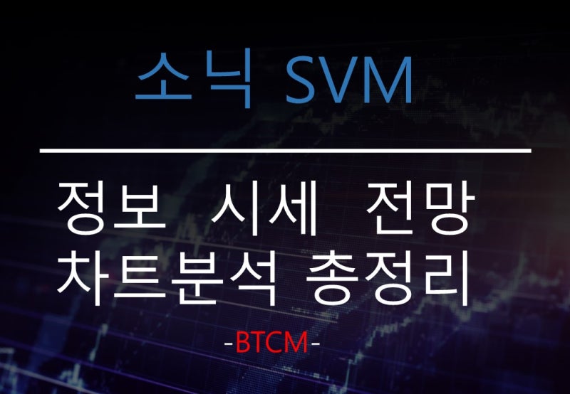 소닉SVM 코인 업비트 빗썸 신규상장 정보와 앞으로의 전망 확인