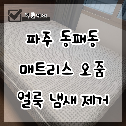  침대 매트리스 오줌 자국 얼룩 냄새 오염 제거 파주 동패동