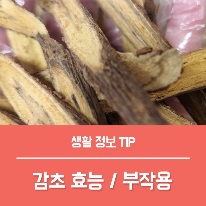  감초효능 TOP4, 감초의효능 부작용 감초 뜻 총정리!