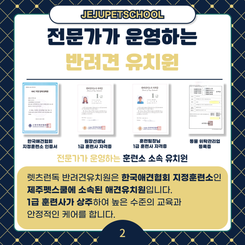 사진 2