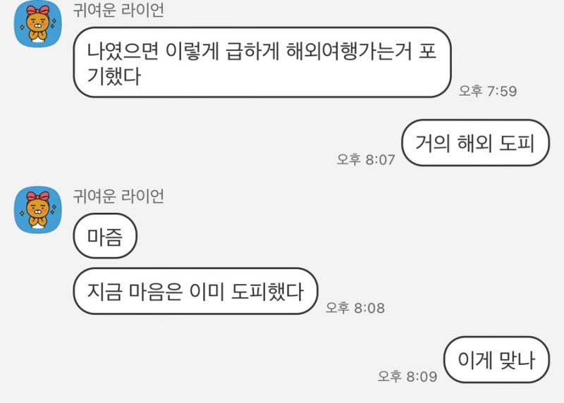 사진 5
