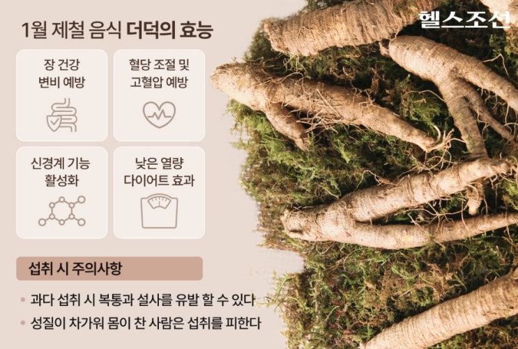 ️ 정력과 다이어트에 효과적인 천연 영양제, '더덕' 이야기 ️ 정력과 다이어트에 효과적인 천연 영양제, '더덕' 이야기