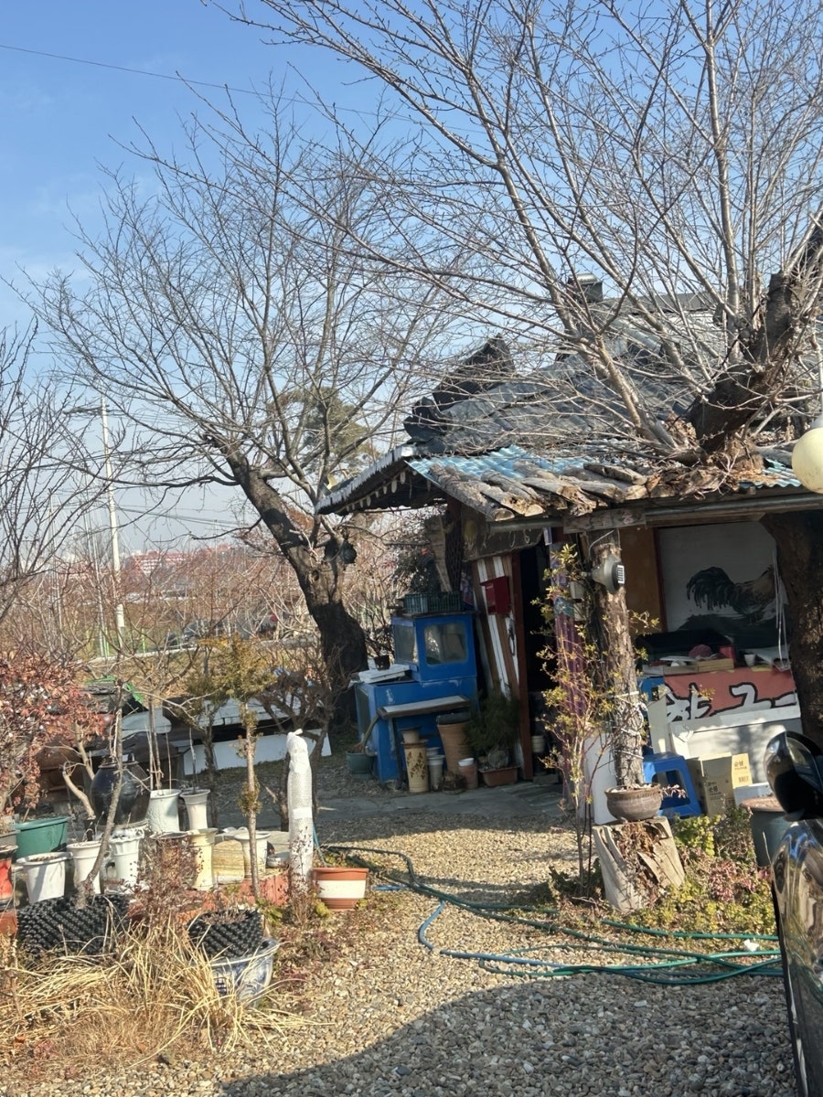 옛고향궁전 사진 2