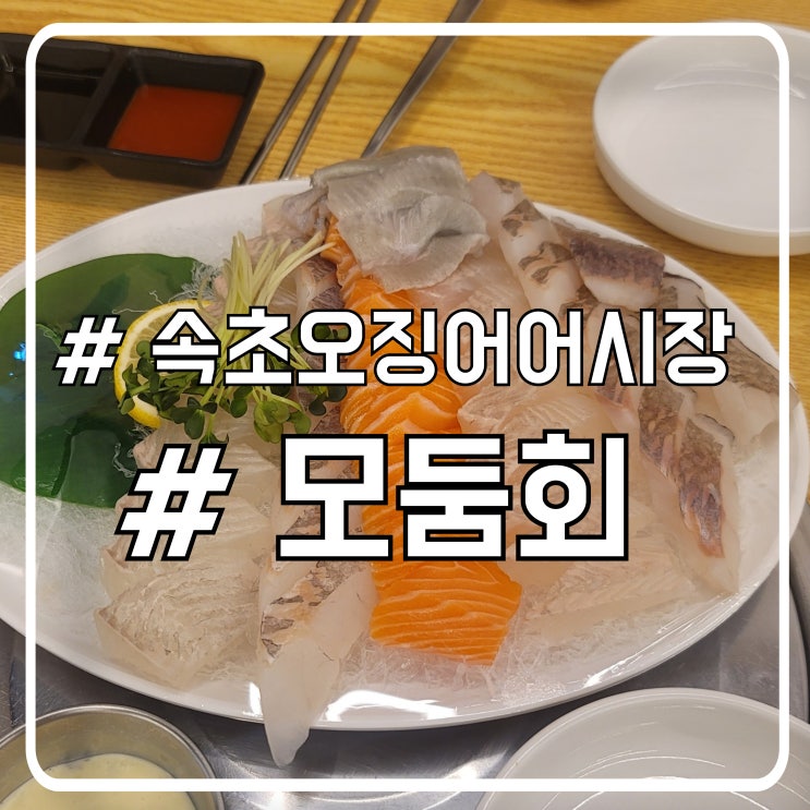  안산 고잔동 맛집 두텁게 썰은 숙성회 속초오징어어시장
