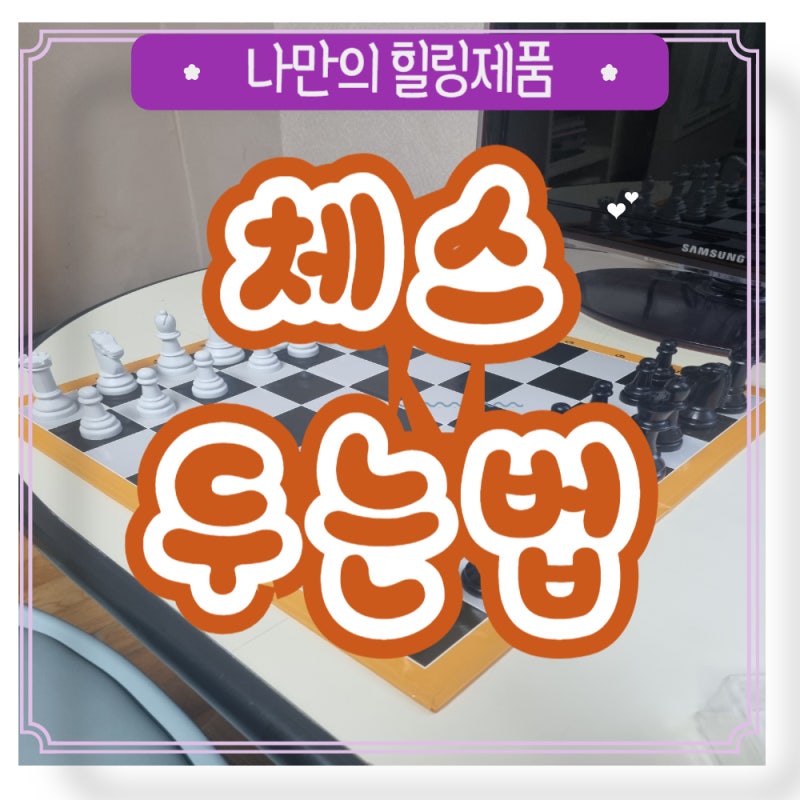체스 규칙 두는법 체스말 역사 체스하는법 명칭 포진 방법 이름 킹 퀸 룩 비숍 나이트 폰 케....