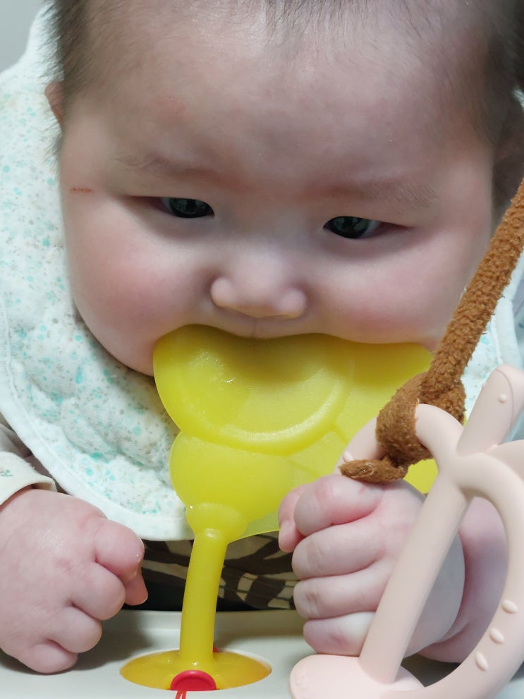  1월부터 이유식 시작한 김푸짐이 근황 보고