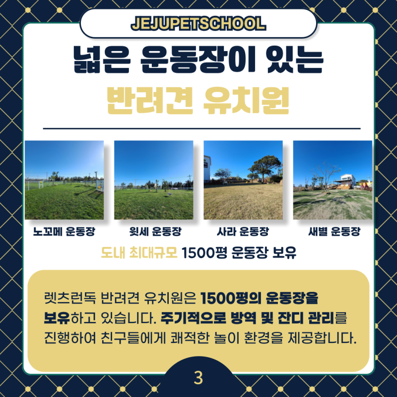 사진 6