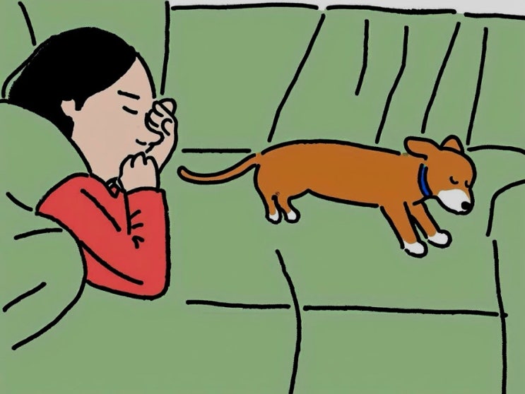 개귀욤️ AI 만화 필터: 반려동물(강아지/고양이)부터 인물까지 사진이 그림으로 뿅 바뀜! (fotor 앱) 개귀욤️ AI 만화 필터: 반려동물(강아지/고양이)부터 인물까지 사진이 그림으로 뿅 바뀜! (fotor 앱)