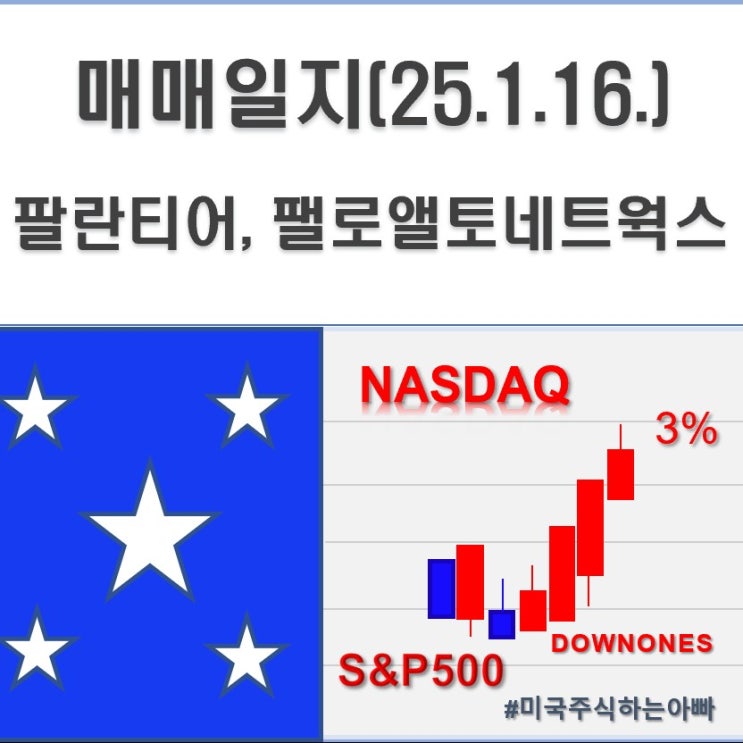  미국주식 매매일지(25.1.16.) 팔란티어, 팰로앨토네트웍스