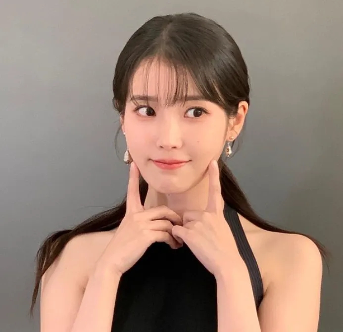 좀 시원하냐”…尹 지지자들, <b>아이유 SNS</b> 몰려가 ‘<b>악플 테러</b>’