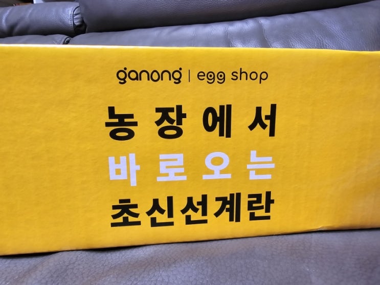  가농 무항생제 계란 1+등급으로 명절음식 준비하세요