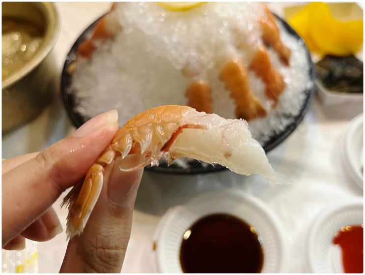  여수여행가면 꼭 경험해보세요! 여수포차거리 딱새우회 먹어보기