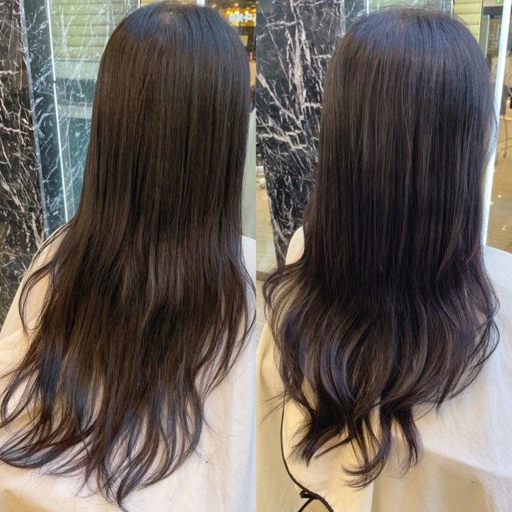  사직동 미용실 긴머리 커트 레이어드컷으로 트렌디하게