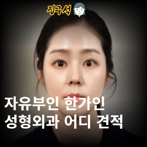 자유부인 한가인 성형외과 어디 견적