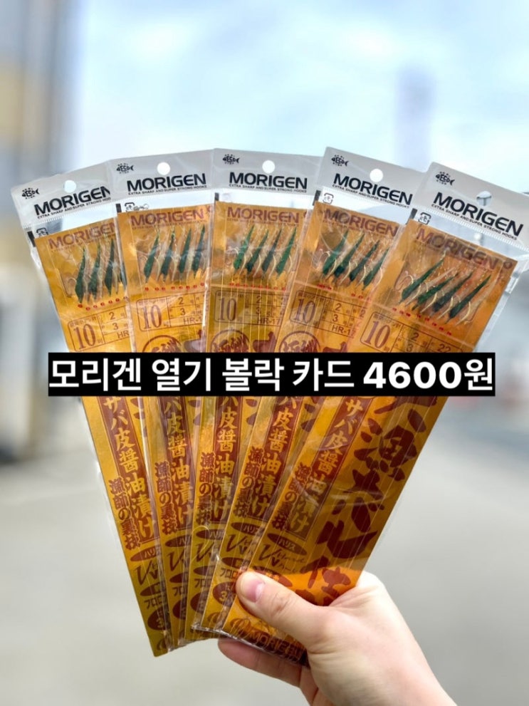  모리겐 열기 볼락 카드 재입고