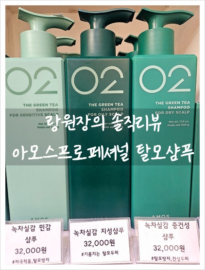 [솔직리뷰] 아모스프로페셔널02 녹차실감 탈모샴푸 지성,중건성,민감성 전부 리뷰 해보자구....