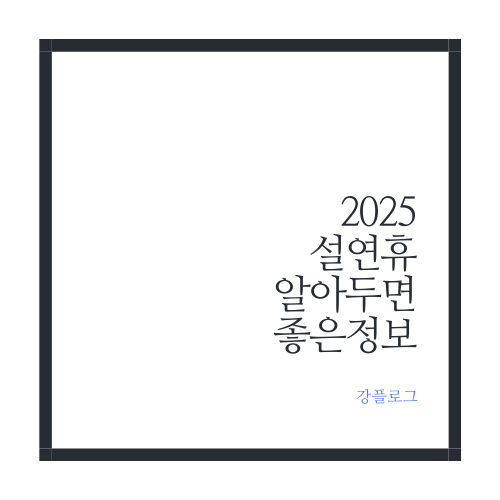  2025 설연휴 관련 알아두면 좋은 정보 꿀팁