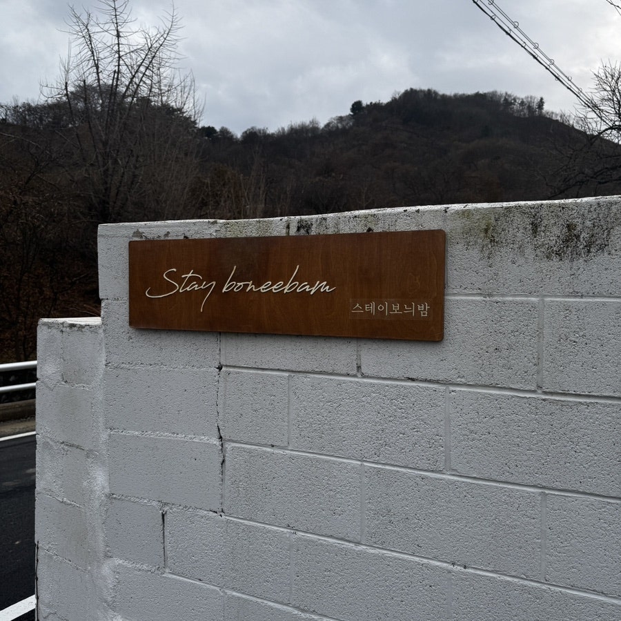 스테이보늬밤